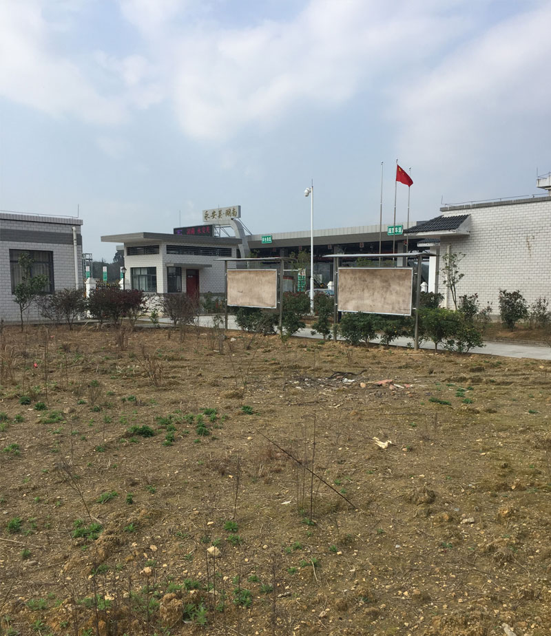 20170107(2).jpg 20170107(2).jpg